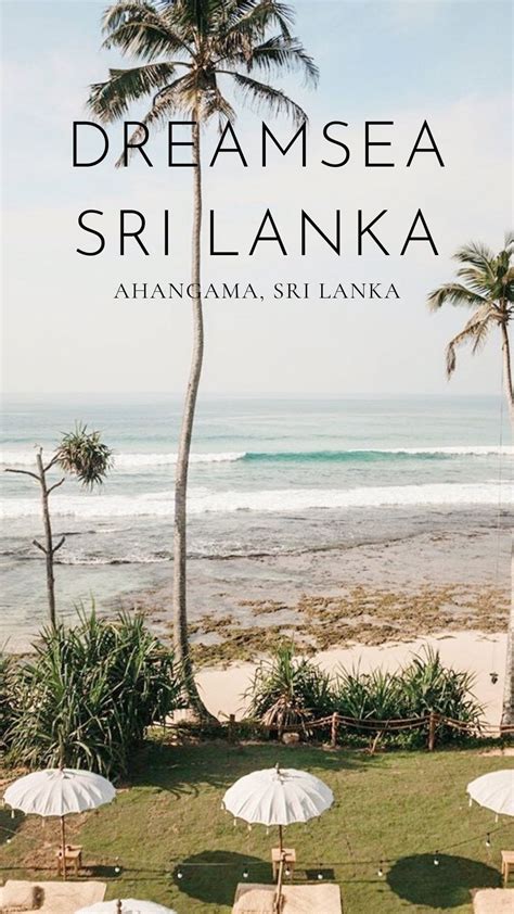 dreamsea sri lanka|Dreamsea Sri Lanka .